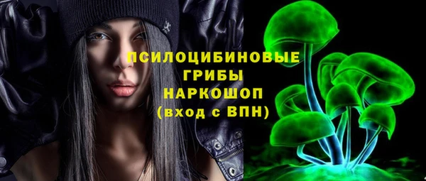 таблы Богородицк