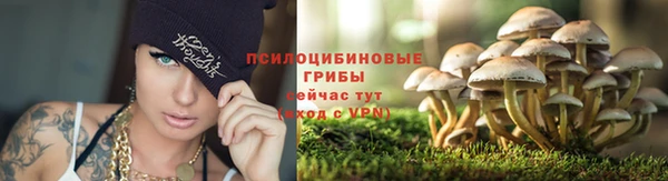 скорость mdpv Богданович